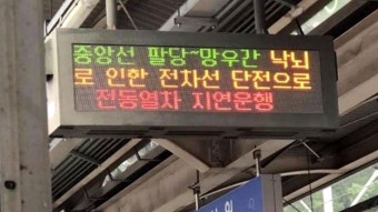 [사회]경의중앙선, 낙뢰로 일부 구간 운행 지연 | YTN 경의중앙선, 낙뢰로 일부 구간 운행 지연