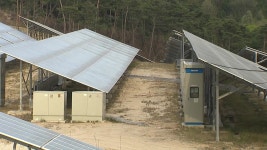 [사회]태양광 발전소 건립 산업 단지가 해답 | YTN 태양광 발전소 건립 산업 단지가 해답