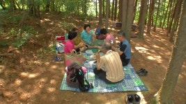 [전국]시원한 휴양림에서 폭염 탈출...한적한 휴식 | YTN 시원한 휴양림에서 폭염 탈출...한적한 휴식