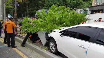 [전국]대전서 승용차가 버스정류장 돌진...7명 중·경상 대전서 승용차가 버스정류장 돌진...7명 중·경상