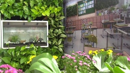 [사회]텃밭에서 힐링까지...도시 농업 인기 | YTN 텃밭에서 힐링까지...도시 농업 인기