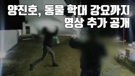 [자막뉴스] 양진호, 동물 학대 강요까지...영상 추가 공개 | YTN [자막뉴스] 양진호, 동물 학대 강요까지...영상 추가 공개