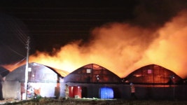 [전국]익산 귀뚜라미 양식장 불...4천8백만 원 피해 | YTN 익산 귀뚜라미 양식장 불...4천8백만 원 피해