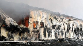 [사회]안성 돼지농장에 불...돼지 3천 마리 폐사 | YTN 안성 돼지농장에 불...돼지 3천 마리 폐사