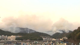 [전국]부산 운봉산에서 불...대피령·수업 중단 | YTN 부산 운봉산에서 불...대피령·수업 중단