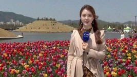 [날씨] 봄 기운 꽃 기운 가득한 순천만...중부는 단비 | YTN [날씨] 봄 기운 꽃 기운 가득한 순천만...중부는 단비