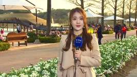 [날씨]순천은 1억 송이 봄꽃 세상...곳곳 단비 | YTN 순천은 1억 송이 봄꽃 세상...곳곳 단비