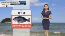 [낚시][내일의 바다낚시지수]6월25일 남해 제주 파도 낮고 바람 강하지 않아 벵에돔 조황 기대 | YTN [내일의 바다낚시지수]6월25일 남해 제주... 