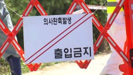[사회]인천 강화서 의심 사례...확진 농장간 역학 관계 확인 | YTN 인천 강화서 의심 사례...확진 농장간 역학 관계 확인