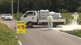 [사회]강화읍 의심 농가도 확진...누적 8번째 | YTN 강화읍 의심 농가도 확진...누적 8번째