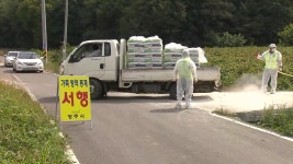 [사회]돼지열병 양주는 음성...강화군 살처분 | YTN 돼지열병 양주는 음성...강화군 살처분