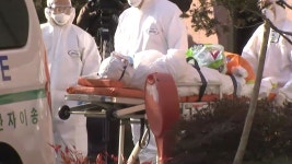 [사회]전국적 확산에도 경계 단계 유지...이유는? | YTN 전국적 확산에도 경계 단계 유지...이유는?