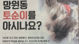 [사회]박원순, 토순이 사건 온라인 탄원 공유…생명 존엄 지켜져야 | YTN 박원순, 토순이 사건 온라인 탄원 공유…생명 존엄 지켜져야