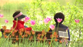 [전국]폐쇄됐던 공원도 활짝...모처럼 나들이에 활력 | YTN 폐쇄됐던 공원도 활짝...모처럼 나들이에 활력