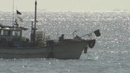 [경제]어민 소득보전 대폭 확대...수산직불금 4개 분야로 늘려 | YTN 어민 소득보전 대폭 확대...수산직불금 4개 분야로 늘려