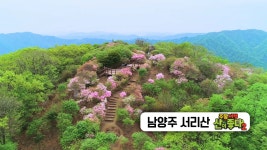 [여행][추천! 주말여행] 봄을 떠나보내기 위해 찾은 남양주 ‘서리산’ | YTN [추천! 주말여행] 봄을 떠나보내기 위해 찾은 남양주 ‘서리산’