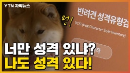 [자막뉴스] 나 누구개?...반려견 성격 검사 프로그램 등장 | YTN [자막뉴스] 나 누구개?...반려견 성격 검사 프로그램 등장