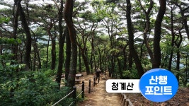 [여행][산행 포인트] 푸른 숲 맑은 계곡, 청계산 | YTN [산행 포인트] 푸른 숲 맑은 계곡, 청계산