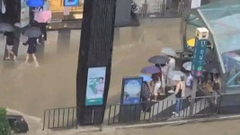 [사회]서울 강남역·도림천 또 물난리...상습침수 못 막나 | YTN 서울 강남역·도림천 또 물난리...상습침수 못 막나