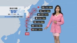 [날씨] 서울·경기 지역 밤사이 집중호우...내일 태풍 '장미' 북상 | YTN [날씨] 서울·경기 지역 밤사이 집중호우...내일 태풍 '장미' 북상