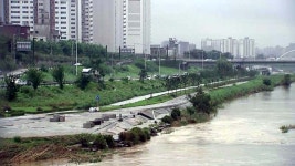 [사회]서울·경기 북부도 장맛비...양재천로 통행 통제 | YTN 서울·경기 북부도 장맛비...양재천로 통행 통제