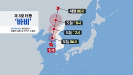 [날씨]태풍 '바비' 위치는?...내륙에 점차 다가서며 북상 중 | YTN 태풍 '바비' 위치는?...내륙에 점차 다가서며 북상 중