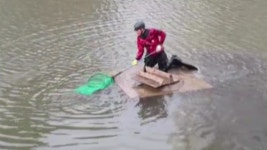 [전국]부산 괴정천에서 날개 다친 왜가리 구조 | YTN 부산 괴정천에서 날개 다친 왜가리 구조