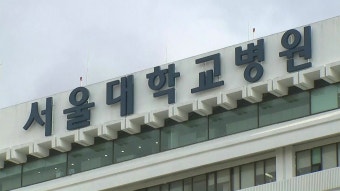 [사회]서울대병원 전공의 94%·전임의 88% 사직서 제출 | YTN 서울대병원 전공의 94%·전임의 88% 사직서 제출