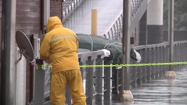 [기상센터][날씨] 9호 태풍 마이삭 북상...내일까지 전국 비바람 비상 | YTN [날씨] 9호 태풍 마이삭 북상...내일까지 전국 비바람 비상