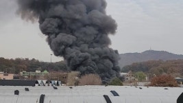 [사회]경기 고양 비닐하우스 11동 불타...난로에서 시작 | YTN 경기 고양 비닐하우스 11동 불타...난로에서 시작