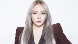[가요]씨엘, 새 앨범 내년 초로 발매 연기...많은 아이디어 떠올라 | YTN 씨엘, 새 앨범 내년 초로 발매 연기...많은 아이디어 떠올라