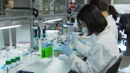 [정치]코로나 백신 3천만 명 분 이상 확보 추진 중...인내심 갖고 기다려달라 | YTN 코로나 백신 3천만 명 분 이상 확보 추진 중...인내심 갖고... 