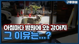 [구루마블] 아침마다 병원에 오는 강아지, 그 이유는...? | YTN [구루마블] 아침마다 병원에 오는 강아지, 그 이유는...?