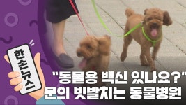 [한손뉴스][15초 뉴스] 동물용 코로나19 백신 있나요?...문의 빗발치는 동물병원 | YTN [15초 뉴스] 동물용 코로나19 백신 있나요?...문의... 