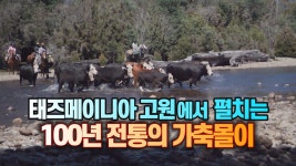 [국제][세상만사] 100년 전통을 지키려고 노력하는 호주 태즈메이니아의 목장 | YTN [세상만사] 100년 전통을 지키려고 노력하는 호주... 