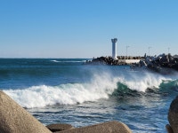 [국제]페레로로쉐 소유주, 밸런타인데이에 사망 | YTN 페레로로쉐 소유주, 밸런타인데이에 사망