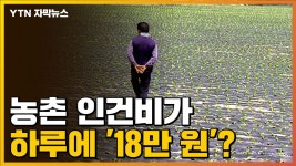 [자막뉴스] 18만 원 까지 치솟은 일당...비상 걸린 농촌 상황 | YTN [자막뉴스] 18만 원 까지 치솟은 일당...비상 걸린 농촌 상황