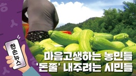 [한손뉴스][15초뉴스] 애호박 산지 폐기 소식에...농민들 돈쭐 내주려는 시민들 | YTN [15초뉴스] 애호박 산지 폐기 소식에...농민들 돈쭐... 
