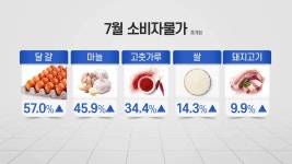 [경제]7월 소비자물가 2.6%↑...'하반기 안정' 전망 빗나가나 | YTN 7월 소비자물가 2.6%↑...'하반기 안정' 전망 빗나가나