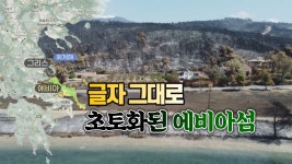 [국제][세상만사] 9일간의 산불로 글자 그대로 초토화된 그리스 에비아 섬 | YTN [세상만사] 9일간의 산불로 글자 그대로 초토화된 그리스 에비아 섬