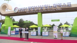 [전국]함양 산삼·항노화 엑스포 개막...10월 10일까지 열려 | YTN 함양 산삼·항노화 엑스포 개막...10월 10일까지 열려