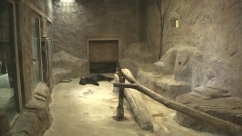 [문화]코로나로 폐업 직전 김해 부경동물원 | YTN 코로나로 폐업 직전 김해 부경동물원