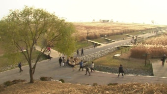 [기상센터][날씨] 전국 흐리고 서늘, 서울 22...밤까지 남부 비 | YTN [날씨] 전국 흐리고 서늘, 서울 22...밤까지 남부 비