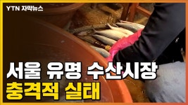 [자막뉴스] 서울 유명 수산시장, 생선 손질하는 물이...인체에 치명적일 수도 | YTN [자막뉴스] 서울 유명 수산시장, 생선 손질하는 물이...... 