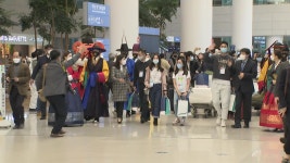 [경제]다시 열린 해외 여행길...관광산업 살아난다 | YTN 다시 열린 해외 여행길...관광산업 살아난다