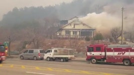 [사회]동해시 도심 덮친 산불...긴박한 제보 이어져 | YTN 동해시 도심 덮친 산불...긴박한 제보 이어져