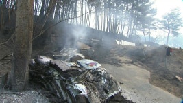 [전국]꿀벌농장도 송이 서식지도 불에 타...생계 막막한 농민들 | YTN 꿀벌농장도 송이 서식지도 불에 타...생계 막막한 농민들