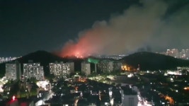 [전국]대구 월성동 학산에 불...짙은 연기에 인근 주민 불편 | YTN 대구 월성동 학산에 불...짙은 연기에 인근 주민 불편
