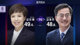 [정치]막판까지 초접전...경기도지사 선거 전망은? | YTN 막판까지 초접전...경기도지사 선거 전망은?