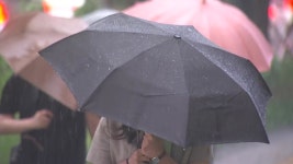 [날씨] 시작부터 물 폭탄...다음 주 중북부 또 게릴라 호우 | YTN [날씨] 시작부터 물 폭탄...다음 주 중북부 또 게릴라 호우